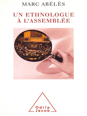 cover image of Un ethnologue à l'Assemblée